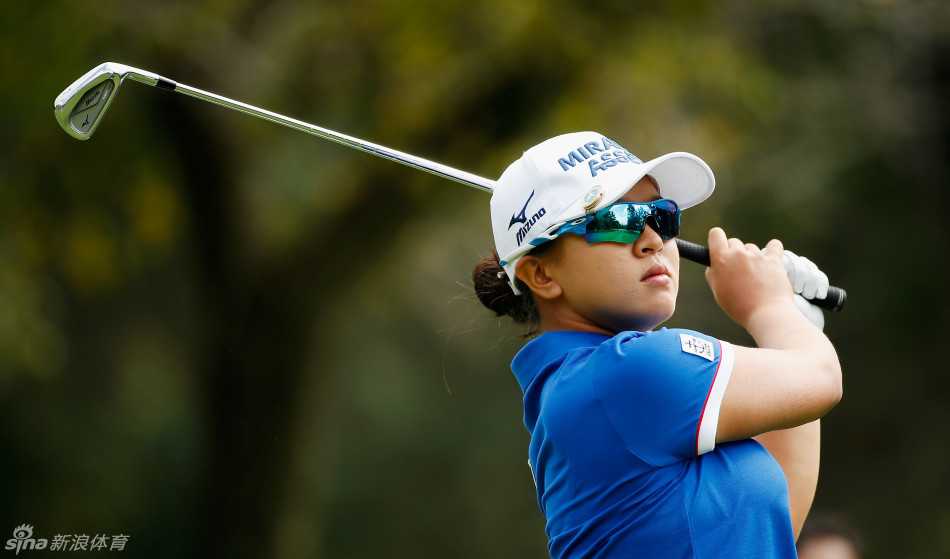 经典挥杆。职业球员全神贯注完成上杆顶点姿势，身体扭转充满张力，完美展现了高尔夫运动的力量与动态平衡之美。