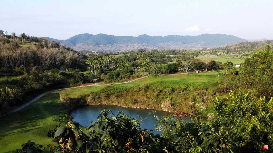 夕阳下的高尔夫球车蜿蜒穿行于热带花丛间，车辙延伸向远方的果岭