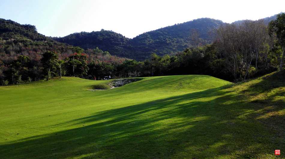 蜿蜒的球车道穿过起伏的丘陵，两侧是修剪整齐的草坪与灌木丛
