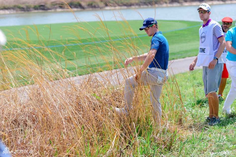 本德·维斯伯格的球童正在果岭上仔细勘测推击线路，他手指方向，与球员进行无声而关键的交流，这是决定胜负的微观战场。