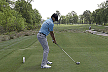 冠军奖杯被高高举起，阳光下熠熠生辉，周围是欢呼的人群，这是胜利时刻最动人的画面。